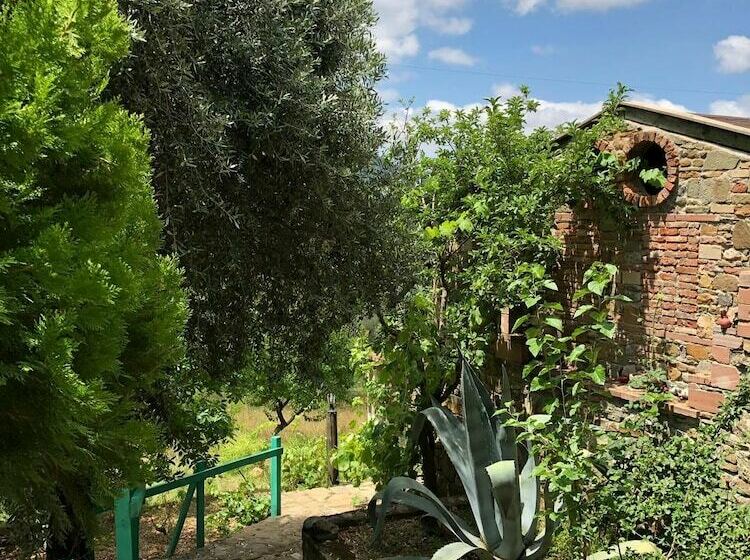 Yesil Vadi Apart Pansiyon Hostel