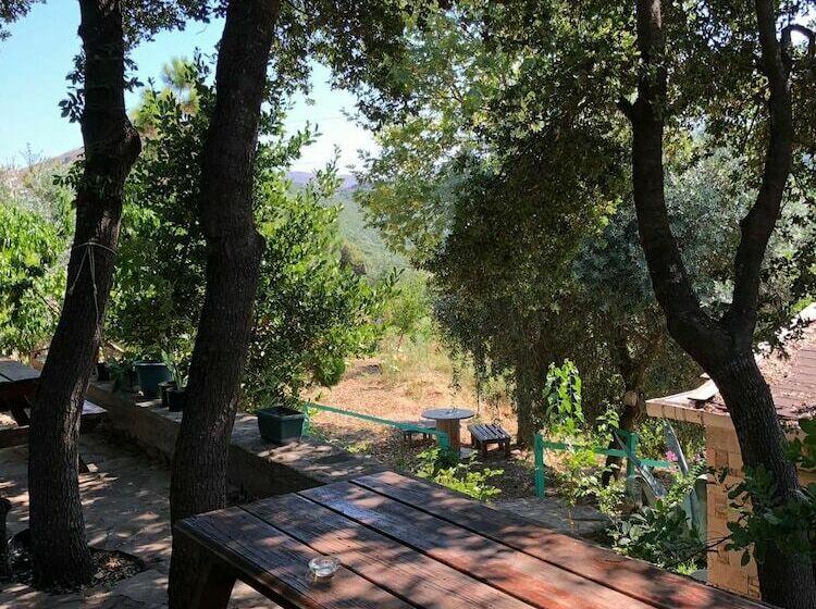 Yesil Vadi Apart Pansiyon Hostel