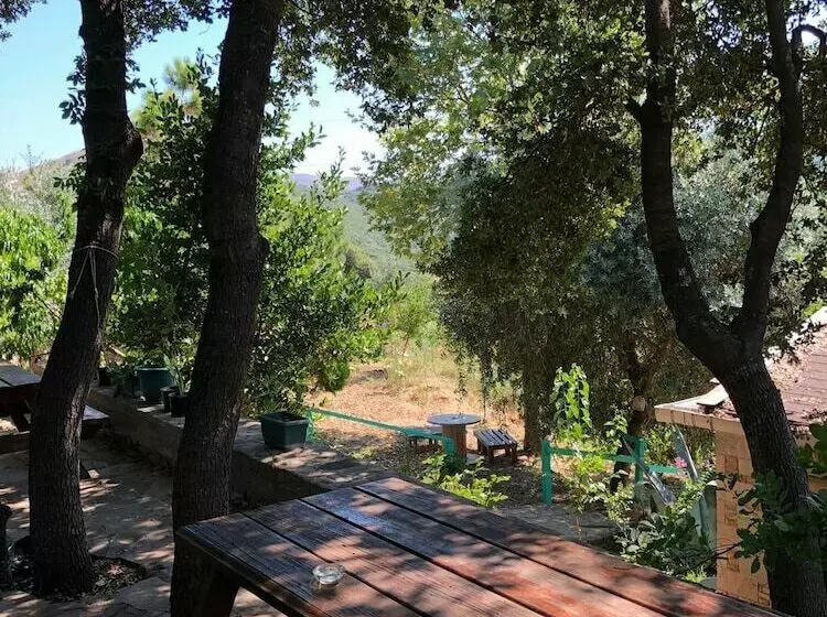 Yesil Vadi Apart Pansiyon   Hostel