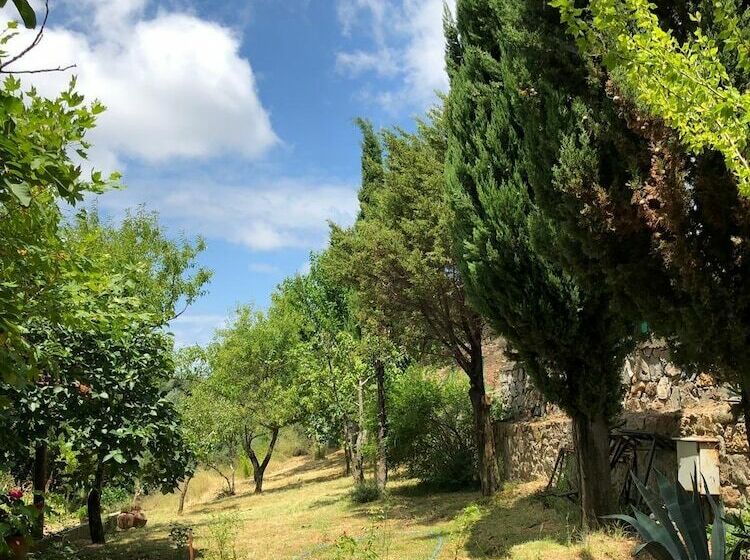 Yesil Vadi Apart Pansiyon Hostel