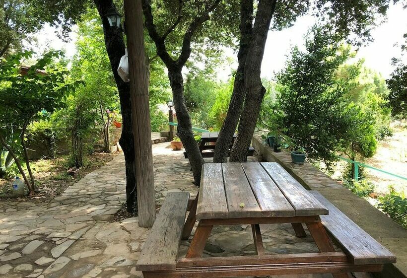 Yesil Vadi Apart Pansiyon Hostel