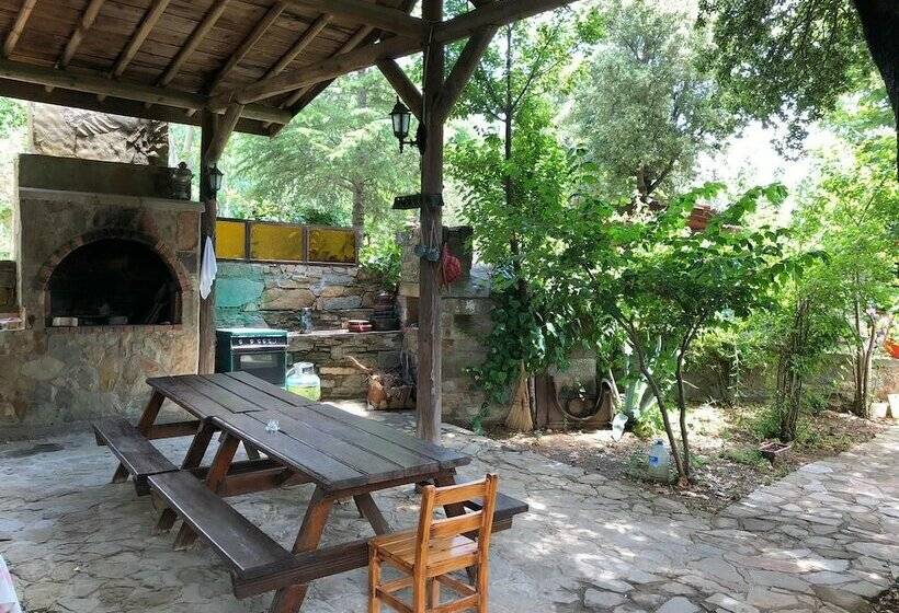 Yesil Vadi Apart Pansiyon Hostel