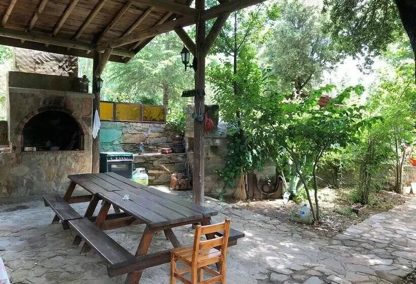 Yesil Vadi Apart Pansiyon   Hostel