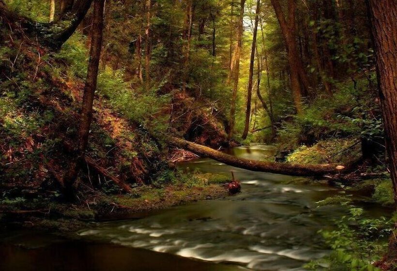 Estrella Rural Casa Rural En La Sierra De Madrid