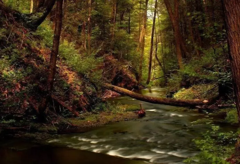 Estrella Rural Casa Rural En La Sierra De Madrid