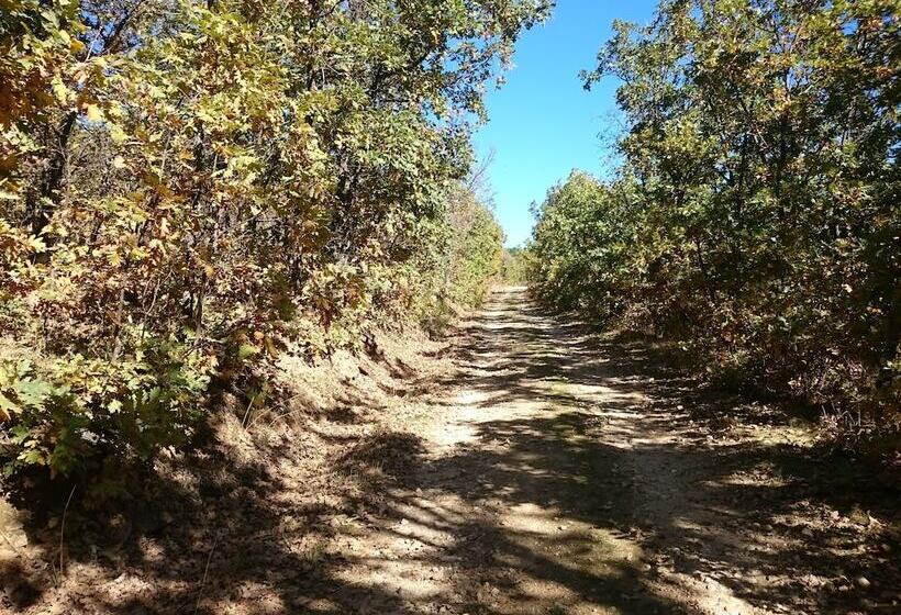 Estrella Rural Casa Rural En La Sierra De Madrid