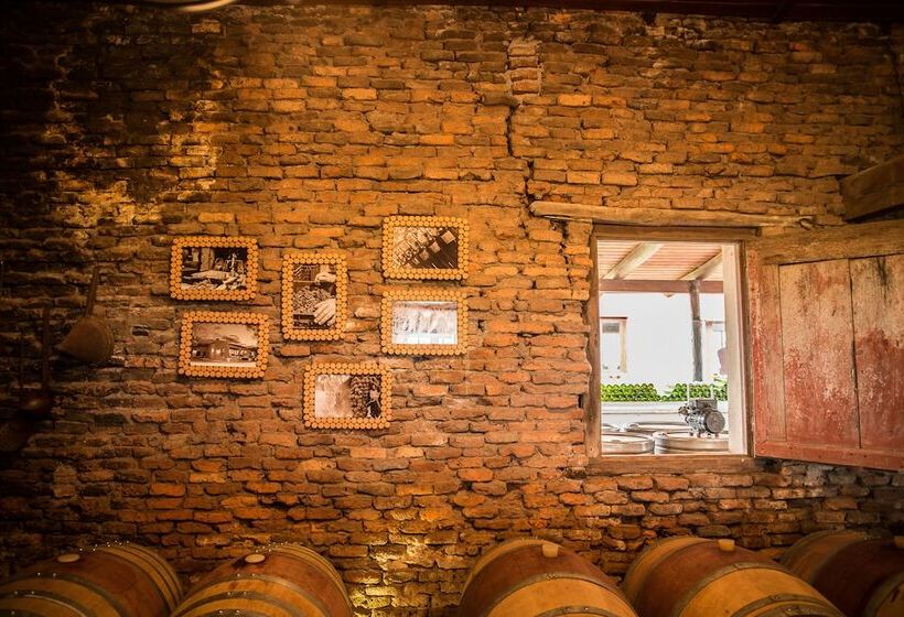 Carmelo Hostel & Garden