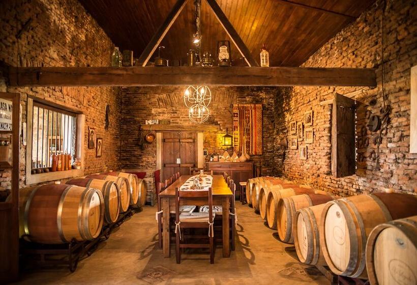 Carmelo Hostel & Garden