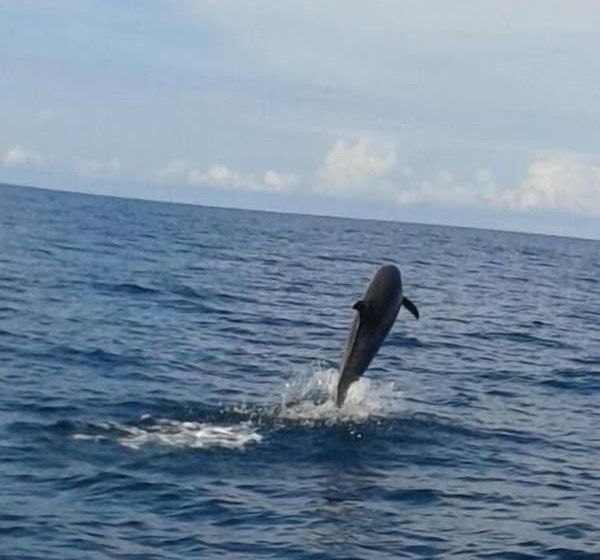 Hostal La Vieja Panaderia & Ristorant