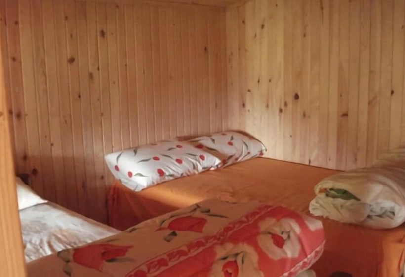 فندق Avusor Simge Pansiyon