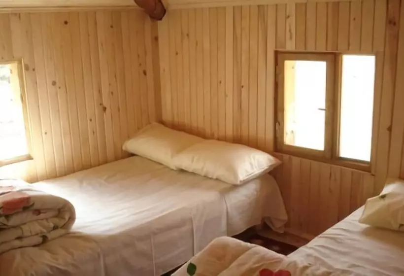 ホテル Avusor Simge Pansiyon