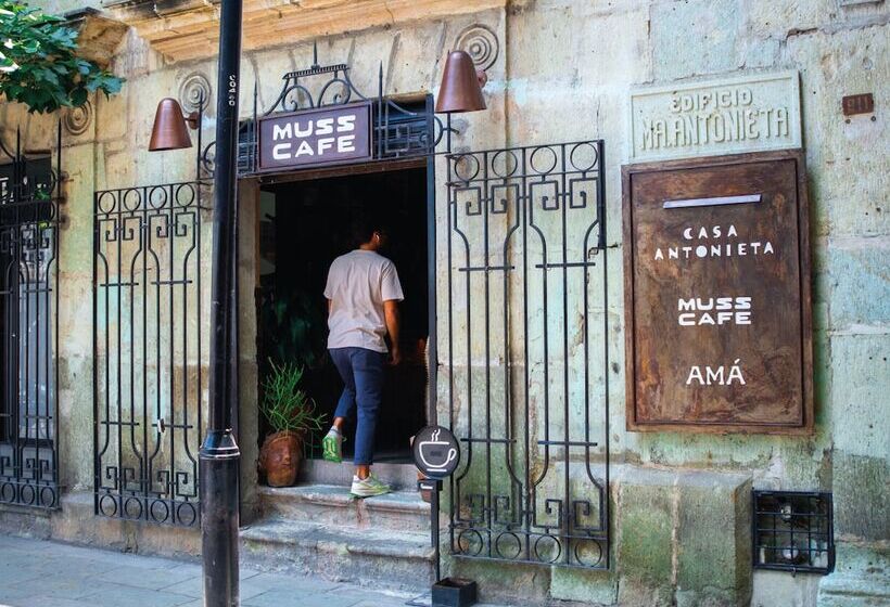 Hotel Casa Antonieta