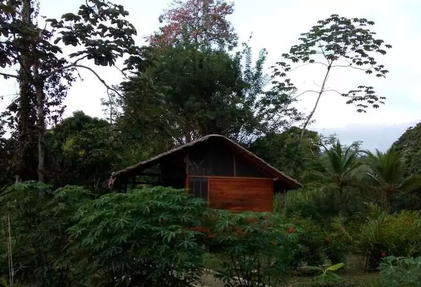 ホテル Rio Mar Bahía Solano Choco Colombia