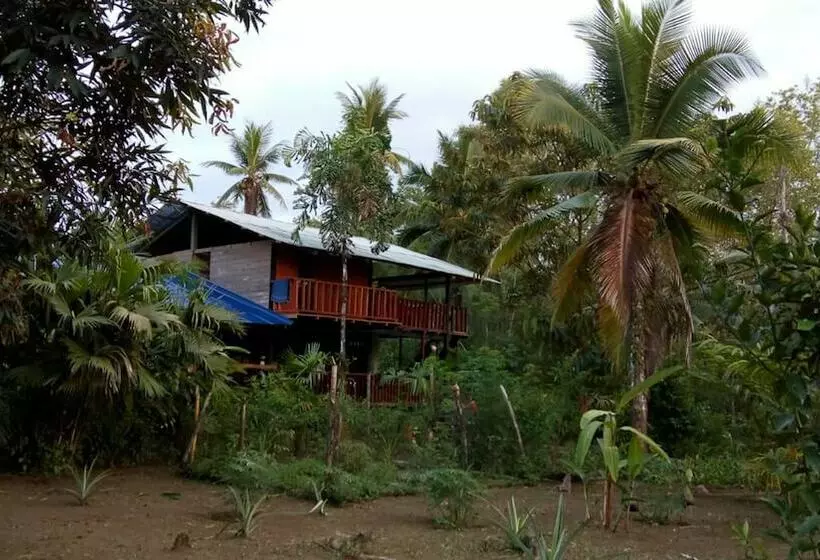 ホテル Rio Mar Bahía Solano Choco Colombia