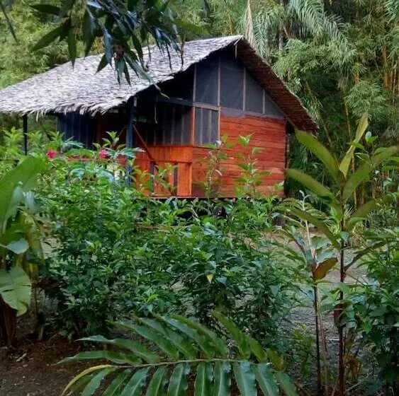 ホテル Rio Mar Bahía Solano Choco Colombia