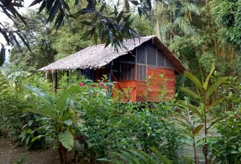 ホテル Rio Mar Bahía Solano Choco Colombia