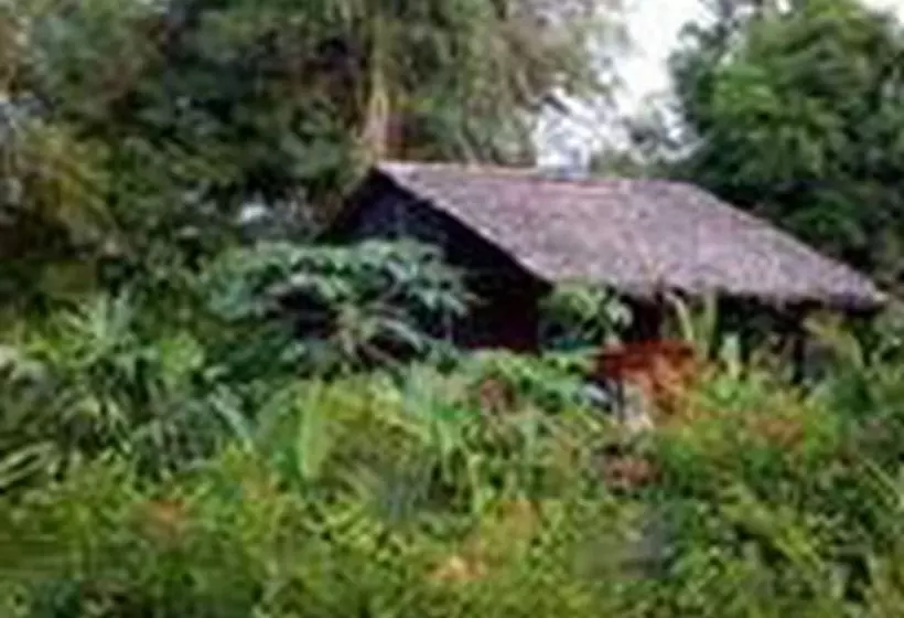 ホテル Rio Mar Bahía Solano Choco Colombia
