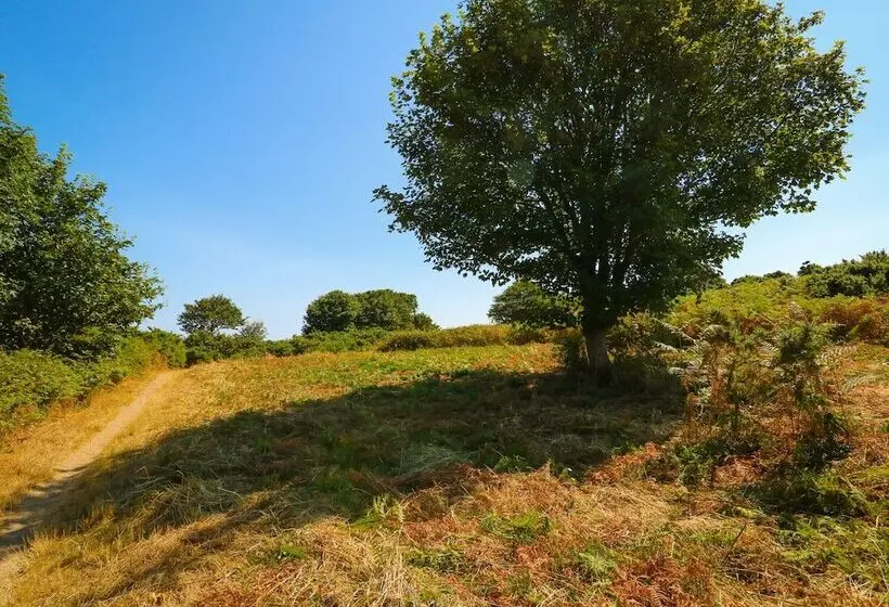 Howards Hill West