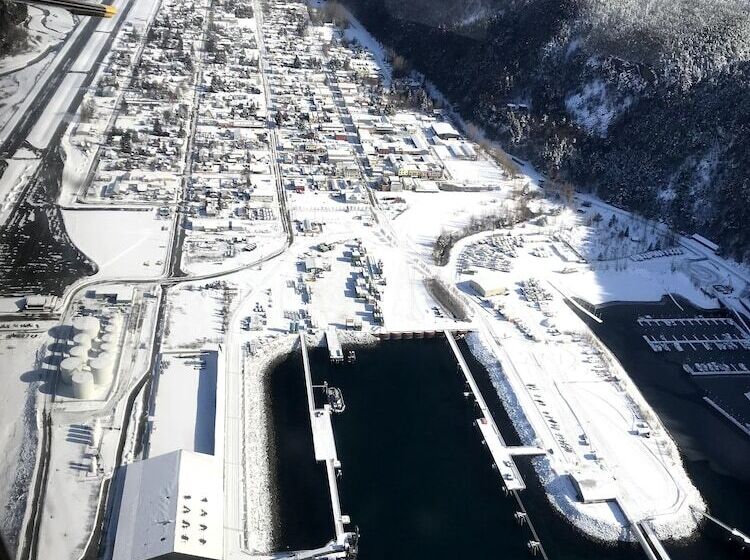 پانسیون At The White House