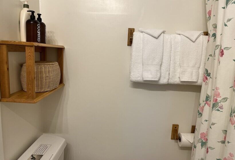 پانسیون At The White House