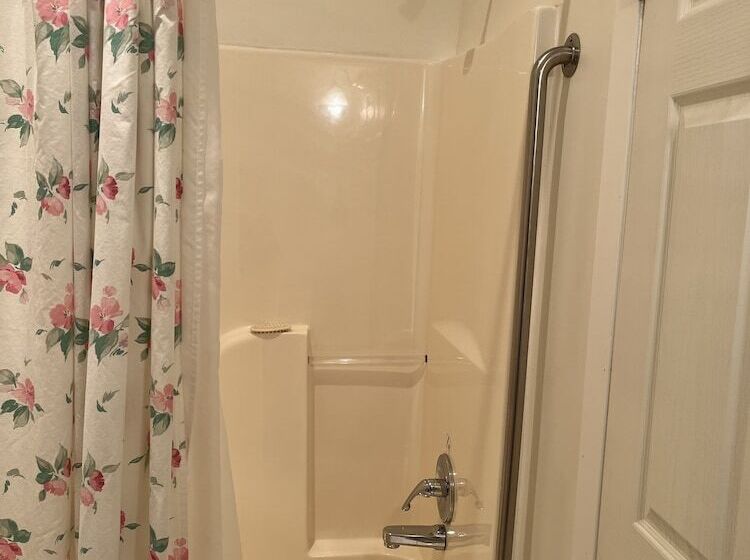 پانسیون At The White House