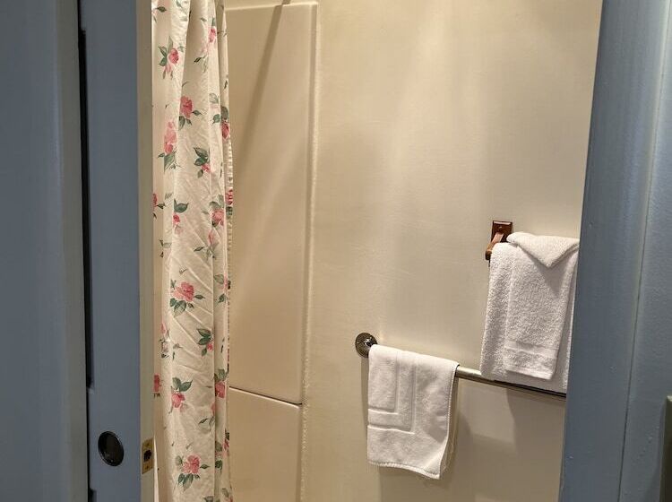 پانسیون At The White House