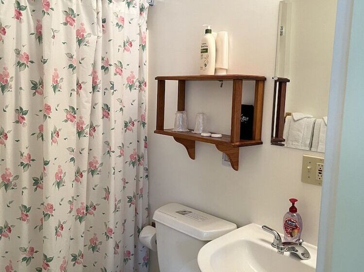 پانسیون At The White House