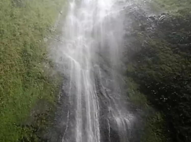 Majatalo Rosa's Lake Cabins
