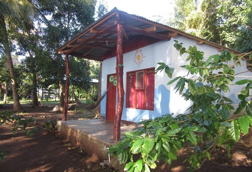 پانسیون Rosa's Lake Cabins