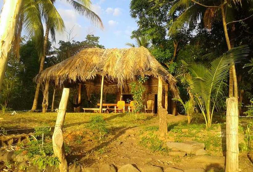 پانسیون Rosa's Lake Cabins