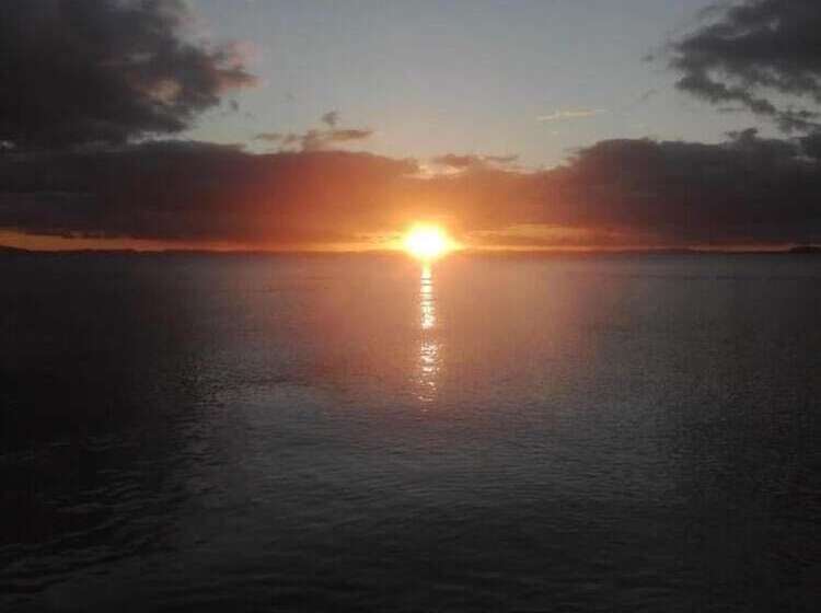 پانسیون Rosa's Lake Cabins