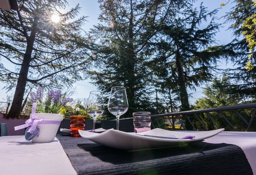 ペンション Villa Sandi Free Parking