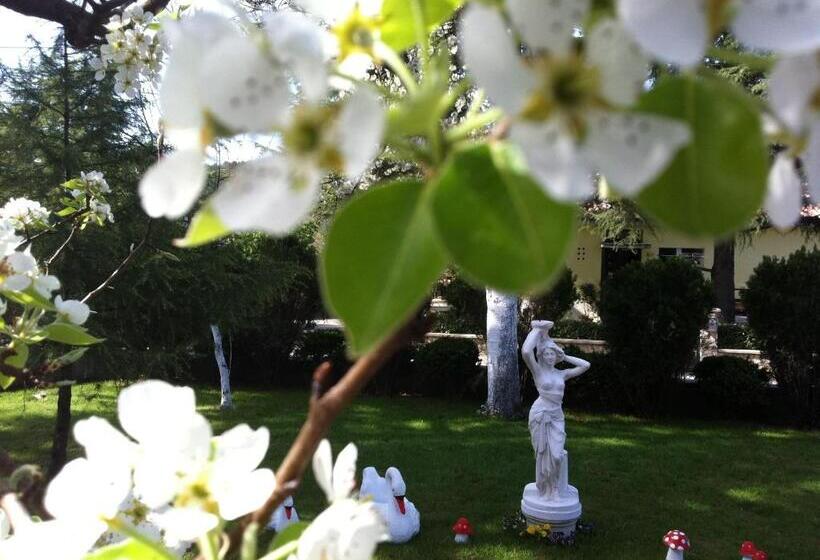 ペンション Villa Sandi Free Parking