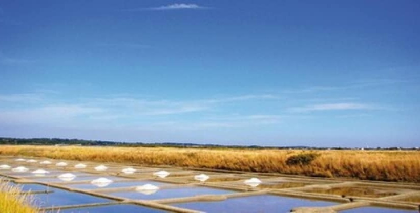 リゾートホテル Village Vacances Chateau De Tréambert