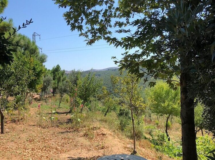 Yesil Vadi Apart Pansiyon Hostel