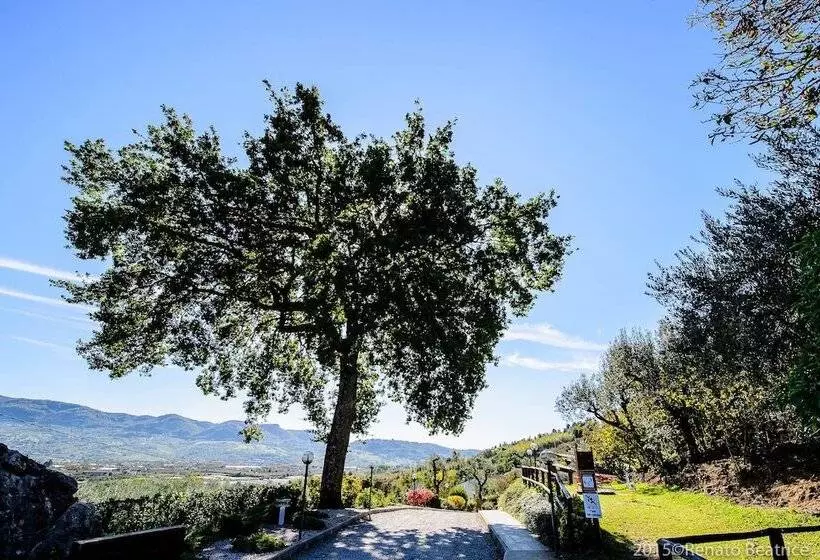 Acasamia Wine Resort   Borgo Salella