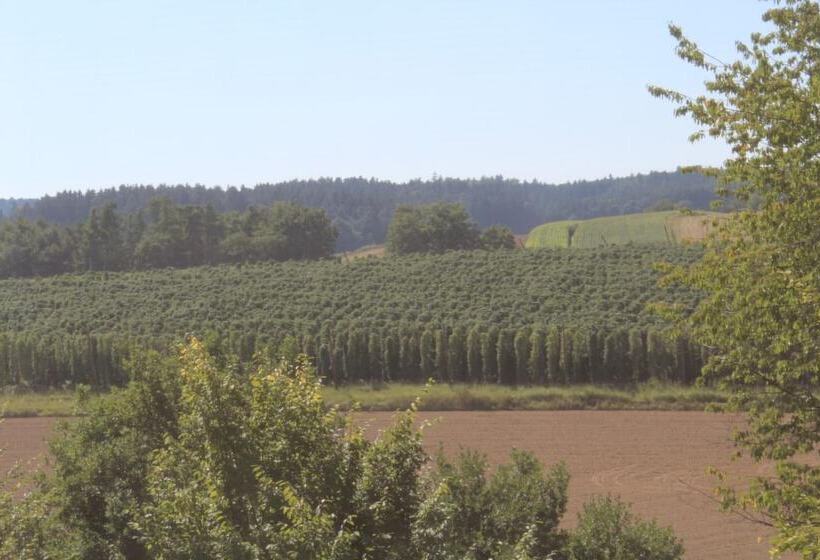 Bed and Breakfast Holledau