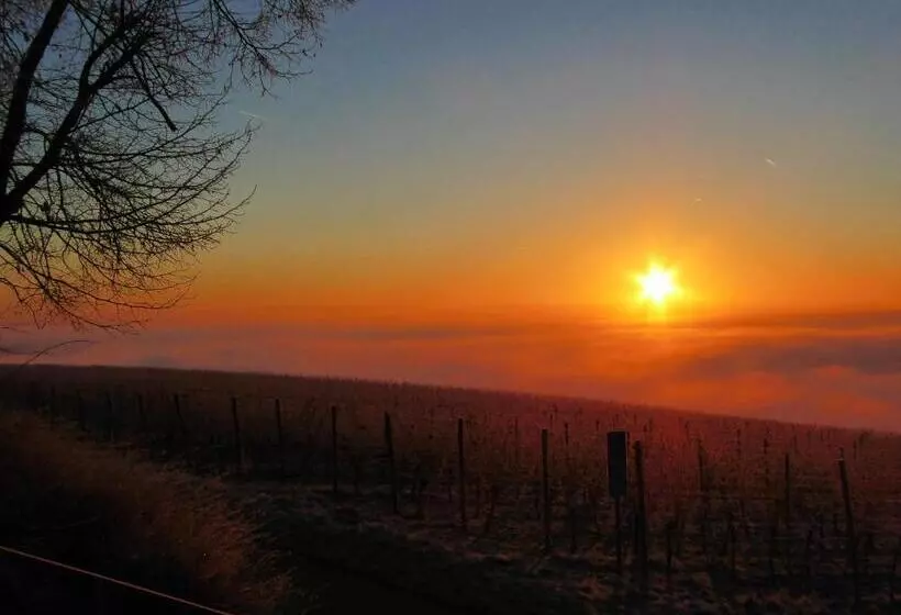 Отель Am Torturm