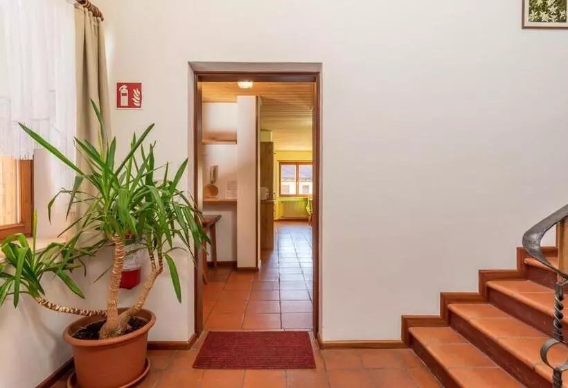 Отель Appartements Pension Sonia