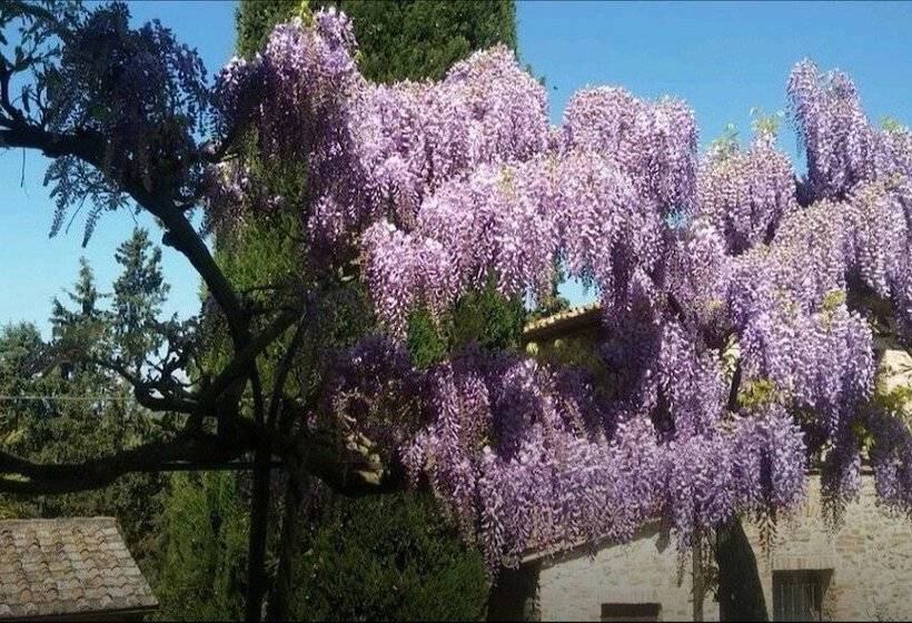 ホテル Castel Pietraio