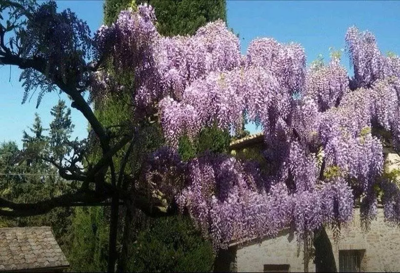 ホテル Castel Pietraio