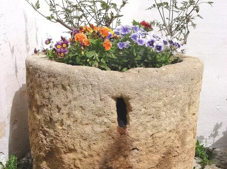 Отель Masseria Refrigerio