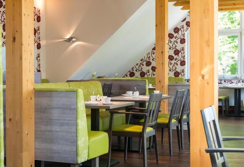 Hotel Schade S Wohlfühl