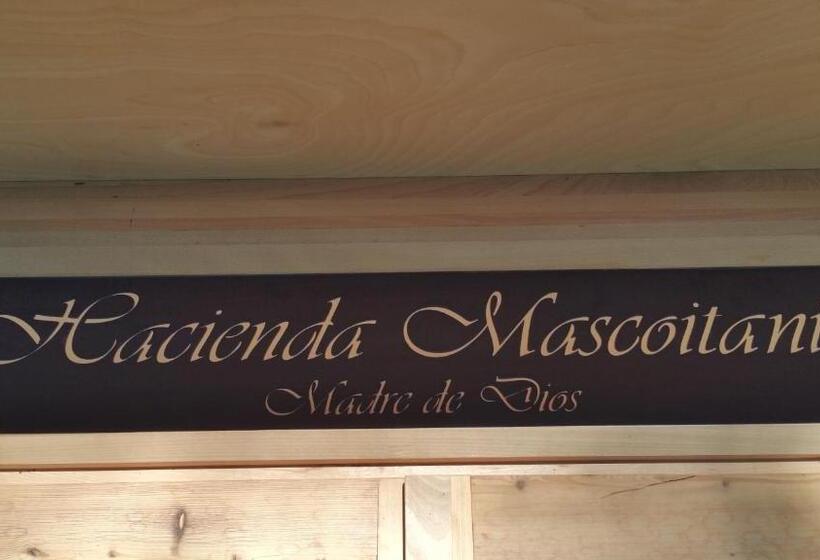 Отель Tiroler Adler