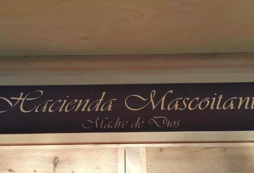 호텔 Tiroler Adler