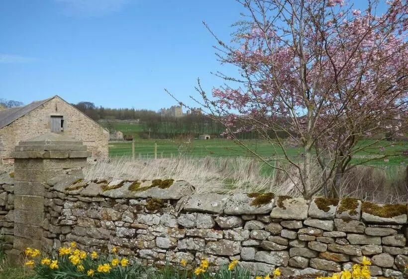 Hope Cottage