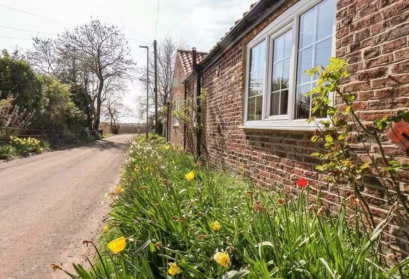 Cupid's Cottage