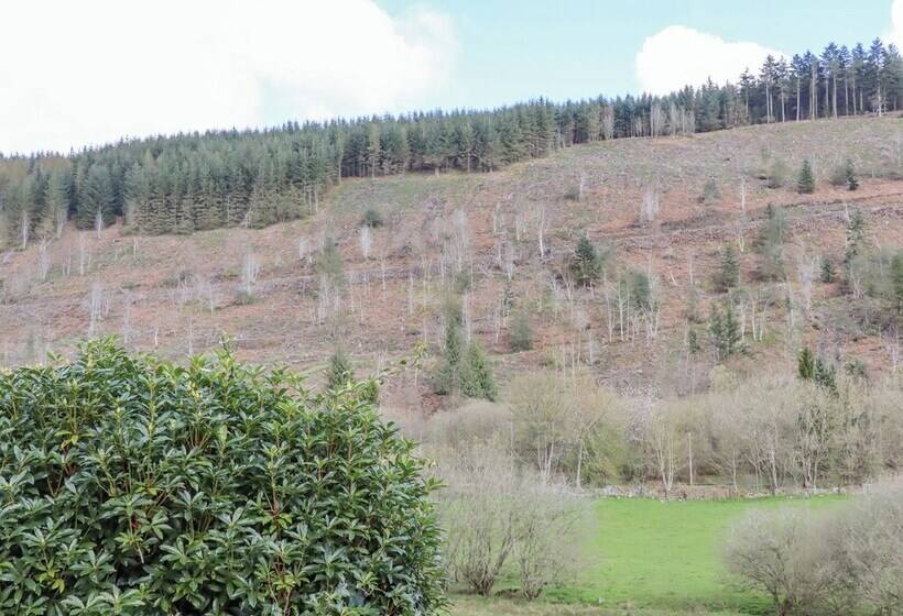 The Little White Cottage