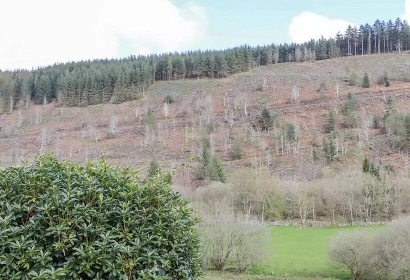 The Little White Cottage