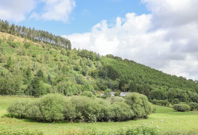 The Little White Cottage